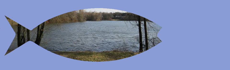 H.H.V. Hengelo (gld)